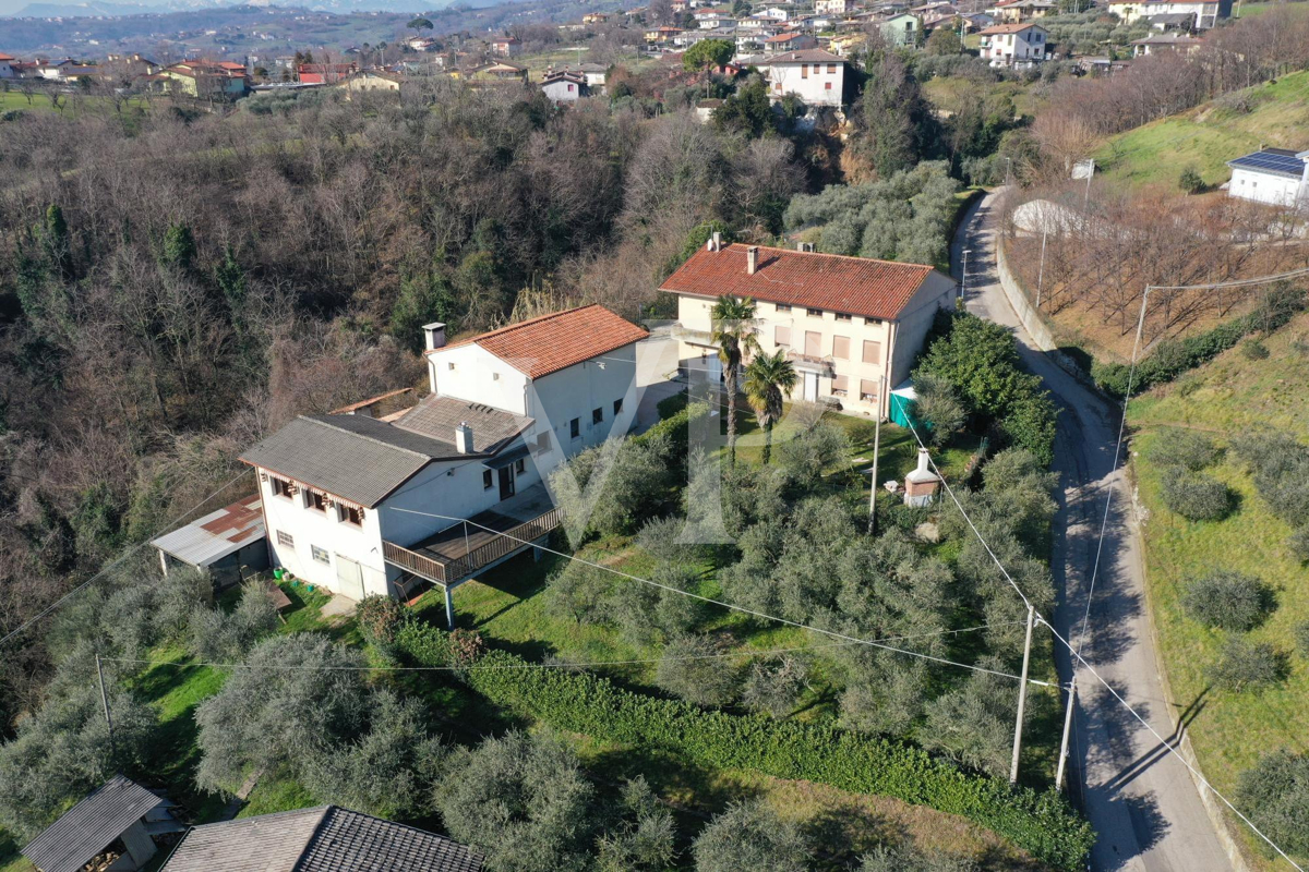 Granja con dependencia comercial y terreno