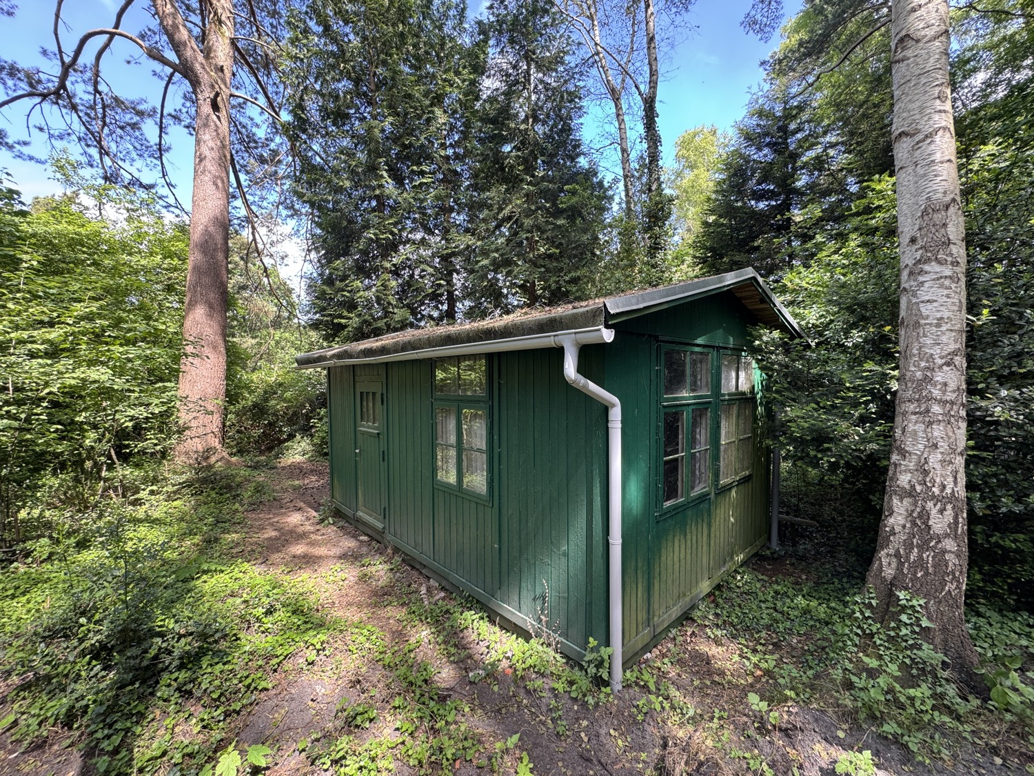 Gartenhaus hinter den Tannen